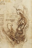 da vinci.jpg